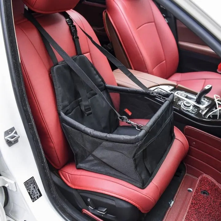 Siege auto chien | Sécuri-Voyage™