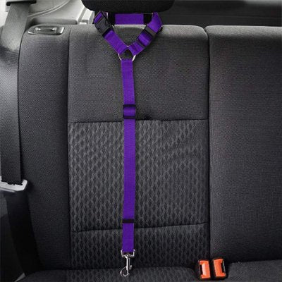 Ceinture de sécurité pour chien | TravelSecure™