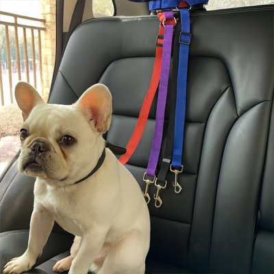 Ceinture de sécurité pour chien | TravelSecure™