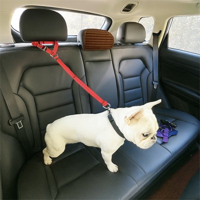 Ceinture de sécurité pour chien | TravelSecure™