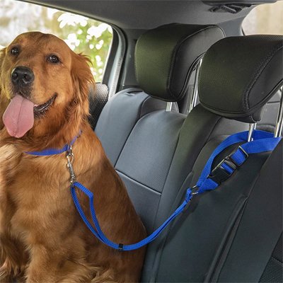 Ceinture de sécurité pour chien | TravelSecure™
