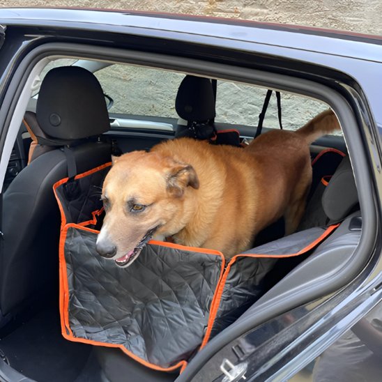 Protection Voiture Chien | BestimperDogâą
