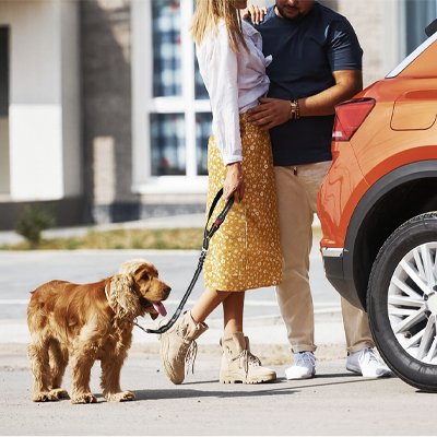 Ceinture de sécurité pour chien | TravelGuard™