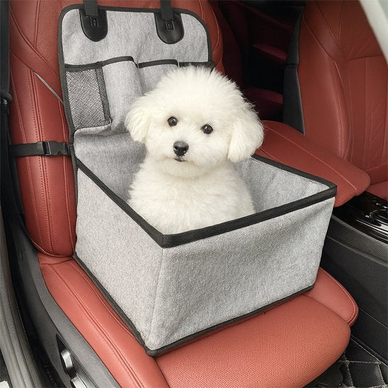 Siege auto chien | Voyagesécur™