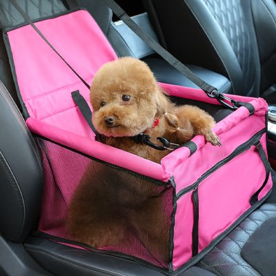 Siege auto chien | Sécuri-Voyage™