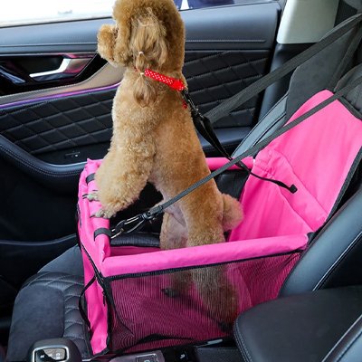 Siege auto chien | Sécuri-Voyage™