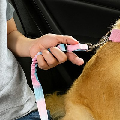 Ceinture de sécurité pour chien | TravelSafe™