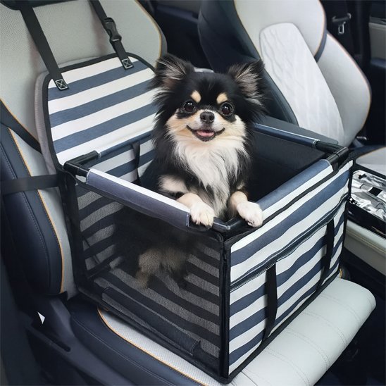 Siege auto chien | Sécuri-Confort™