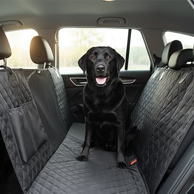 Protection voiture pour chienâ