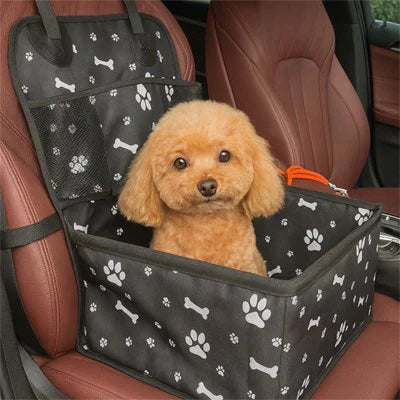Comment voyager avec un chien en voiture
