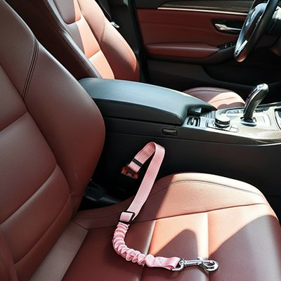Ceinture de sécurité pour chiens