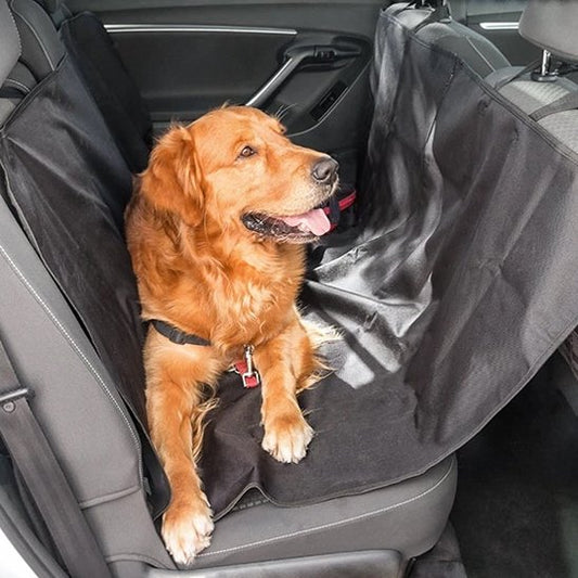 Protection Voiture Chien | ImperGriff™
