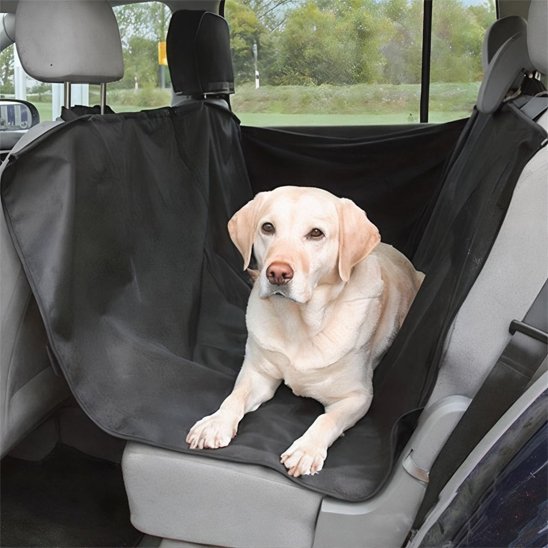 Protection Voiture Chien | ImperGriff™