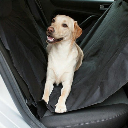 Protection Voiture Chien | ImperGriff™