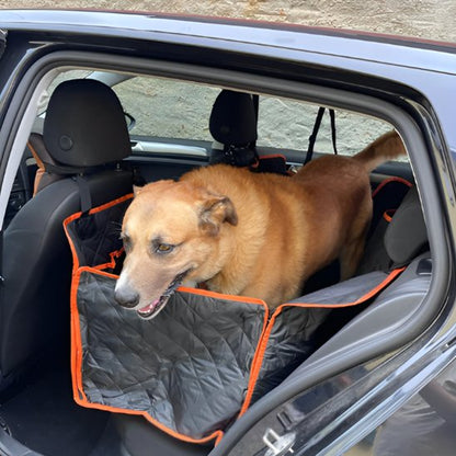 Protection Voiture Chien | BestimperDog™