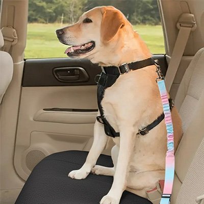 Ceinture de sécurité pour chien | TravelSafe™