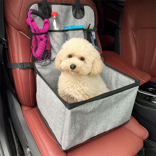 Siege auto chien | Voyagesécur™