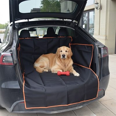 Protection chien voiture