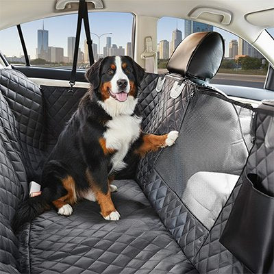 Protection voiture pour chien​